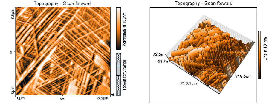 AFM micrographs